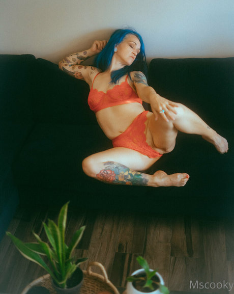 mscooky sexy porno archiv