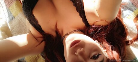 sweeteely exklusive pornostar galerien