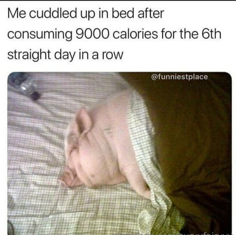 curvyfairyyy erwachsene exklusive galerien