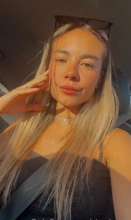 steplover perfekte bild