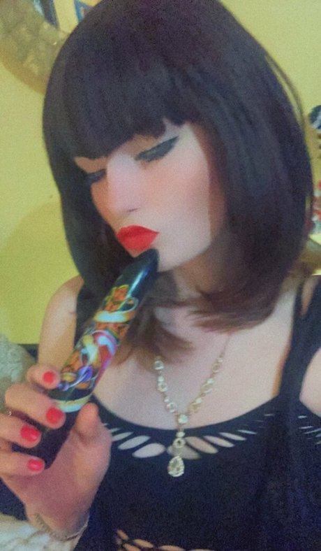 bambicat exklusive perfekte bilder