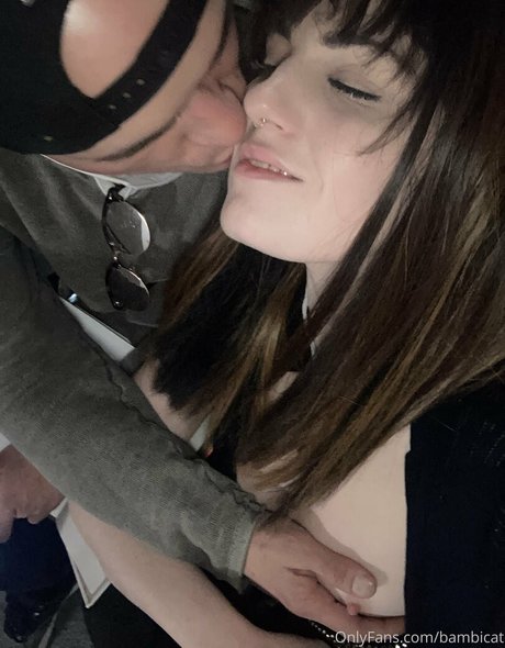 bambicat exklusive hübsche galerien