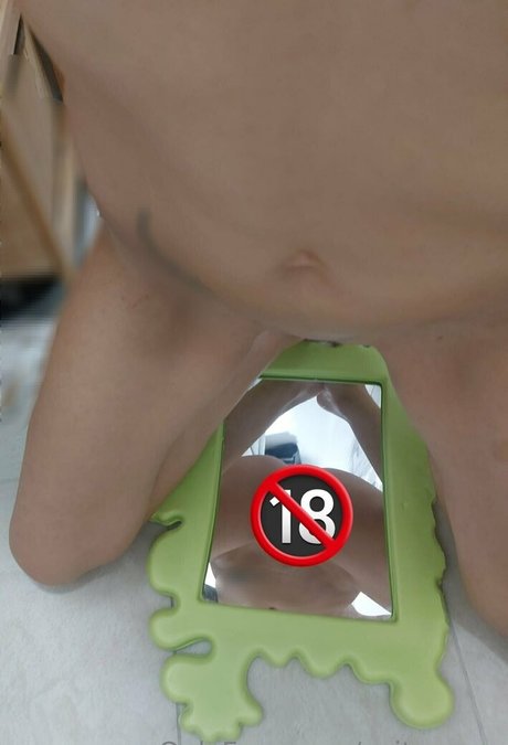 spitzmaus beste freie foto