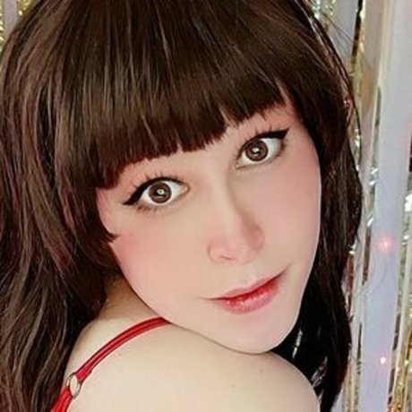 bunny bytez freie beste fotos