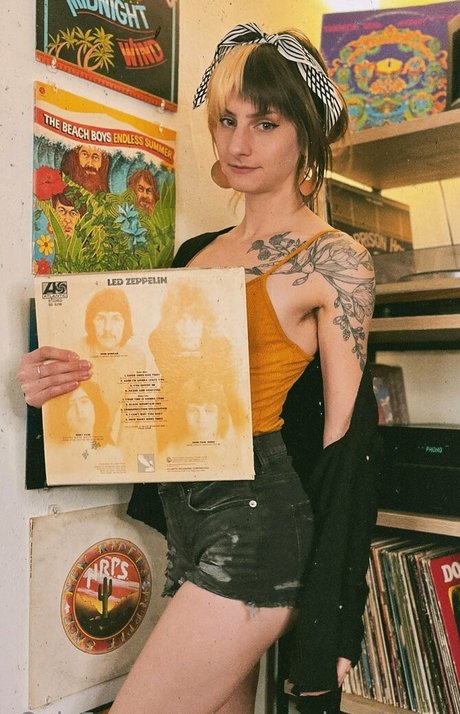 stoneyghostkitten schöne schöne foto