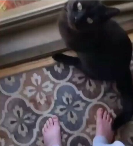 Awakeproductions exklusive erwachsene galerien