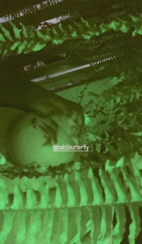 bab1butterfly nackt freie archiv