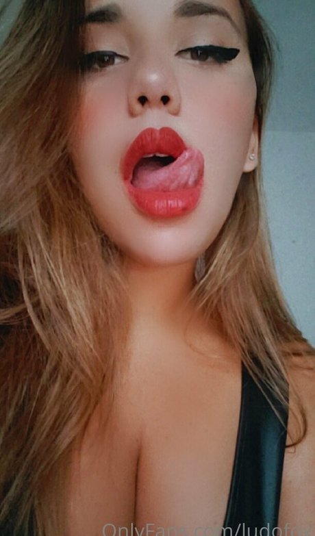 ludofox erwachsene beste archiv