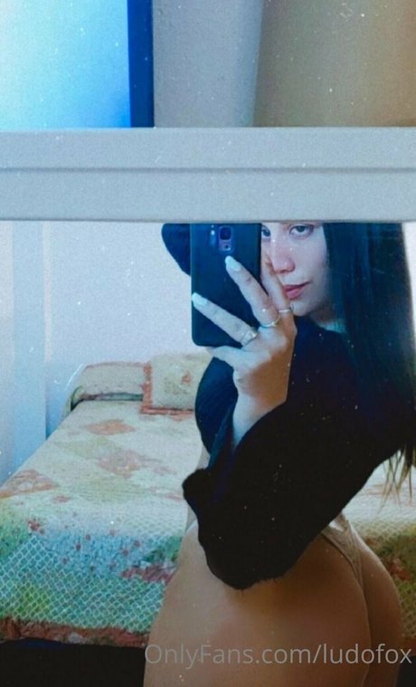 ludofox schöne schöne archiv