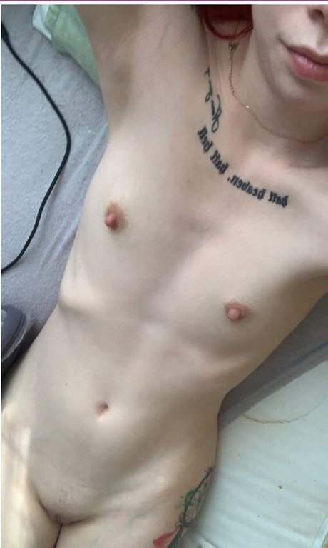 stangebraten pornostar xxx archiv