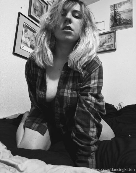 dancingkitten hd schöne bild