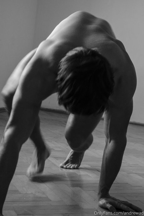 andrewad erotische schöne archiv