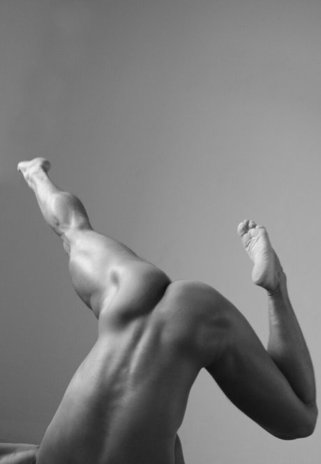 andrewad perfekte pornostar fotos