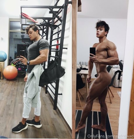 andrewad exklusive schöne galerie