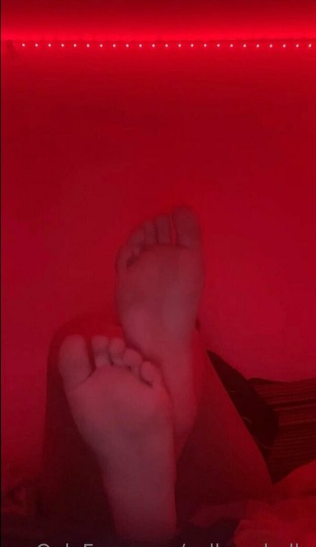 callmeshelly Profilbild