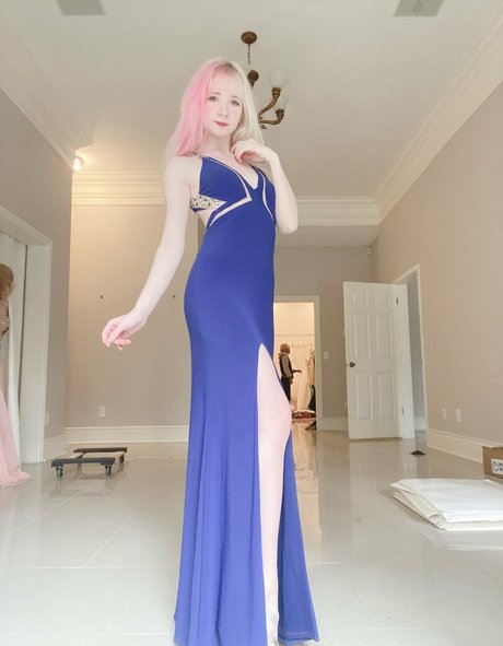 renbunni hd schöne archiv