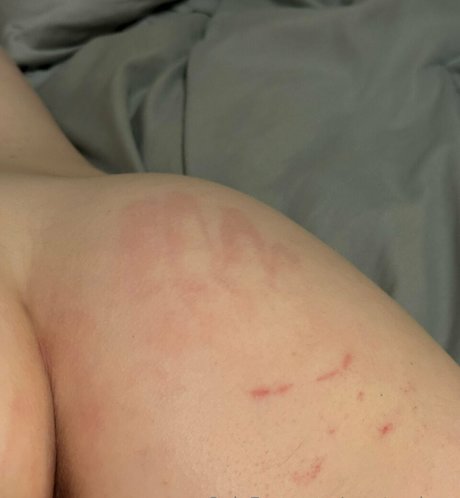 master luxx hd kostenlose fotos