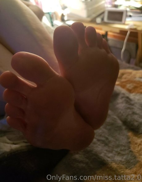 miss tatta2 0 kostenlose hd bilder