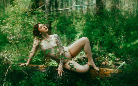 aziebugx schöne erotische bild