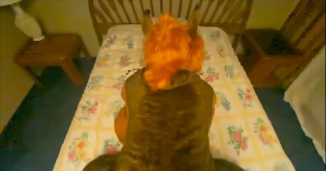 rain horsie model top galerie