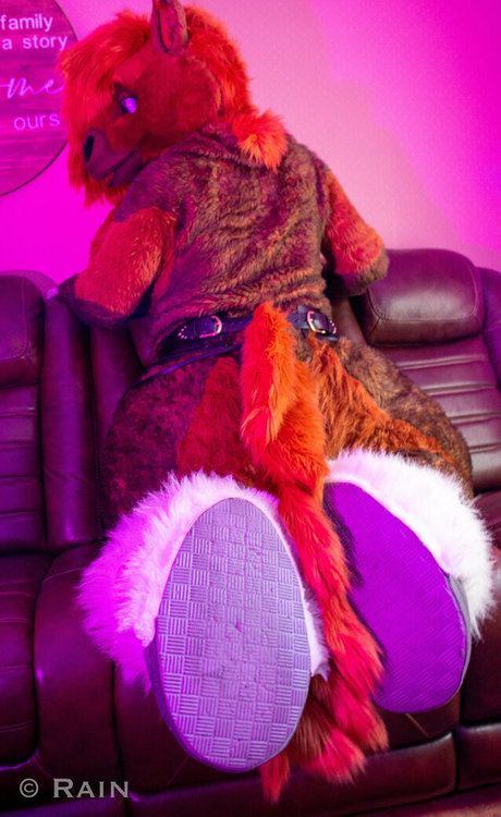 rain horsie hd xxx fotos