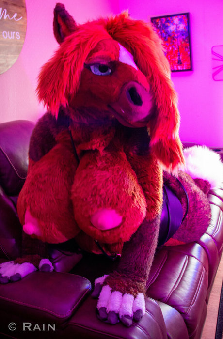 rain horsie top sexy foto