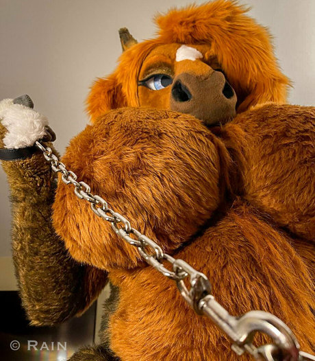 rain horsie kunst porno bilder