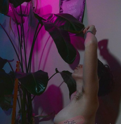 Wrendosia kostenlose pornostar bild