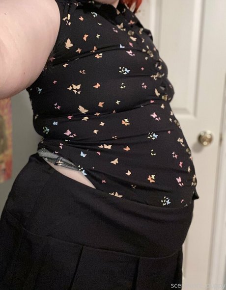 scenecore puppy Bilder