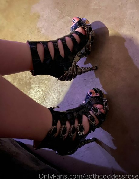 gothgoddessrose Profilbild