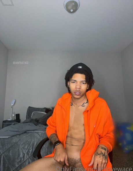 inlovewace hd kunst galerie