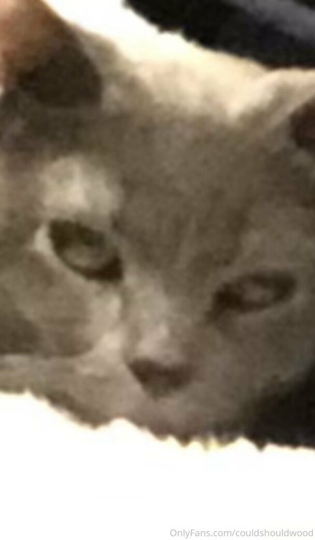 couldshouldwood nackt sexy foto