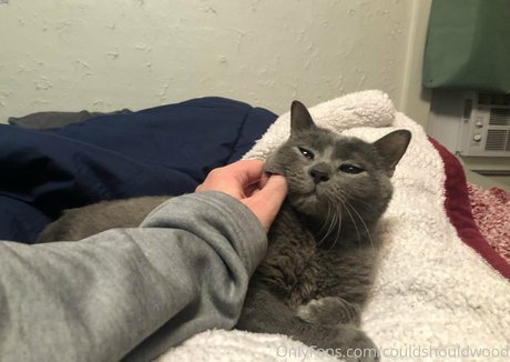 couldshouldwood hd pornographische fotos