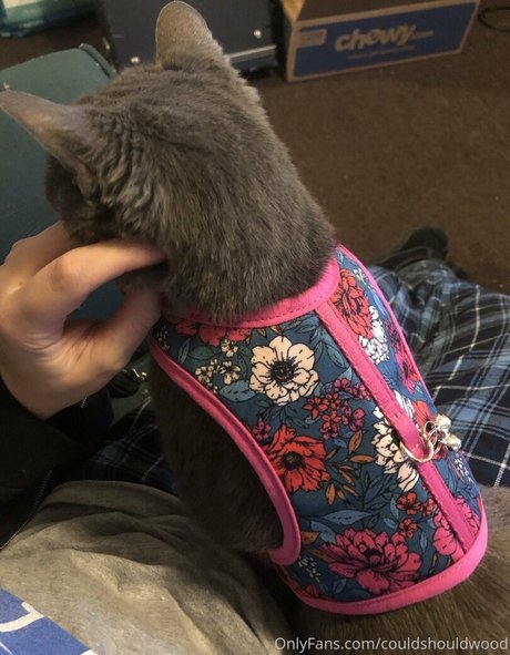 couldshouldwood model galerien