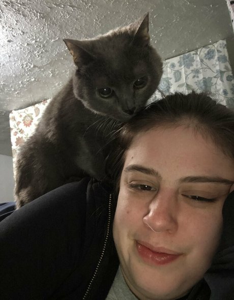 couldshouldwood heiße kostenlose galerie