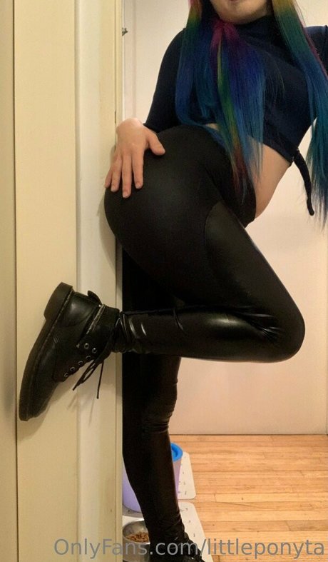 littleponyta top kunst galerie