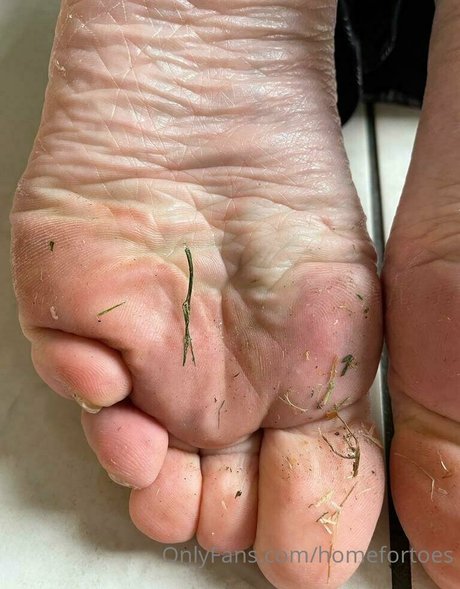 homefortoes exklusive akt galerien