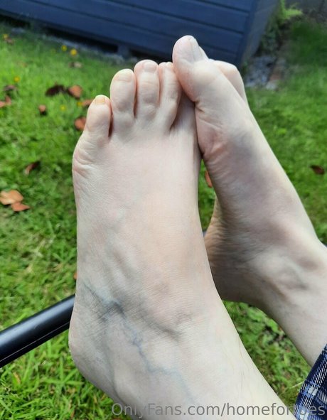 homefortoes schöne foto