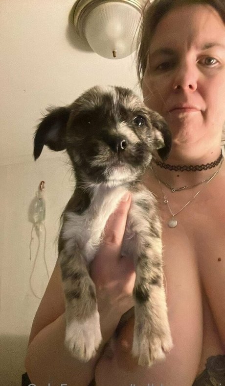 talldancermi xxx freie galerie