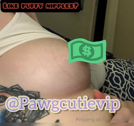 pawgcutie1 kostenlose schöne bild