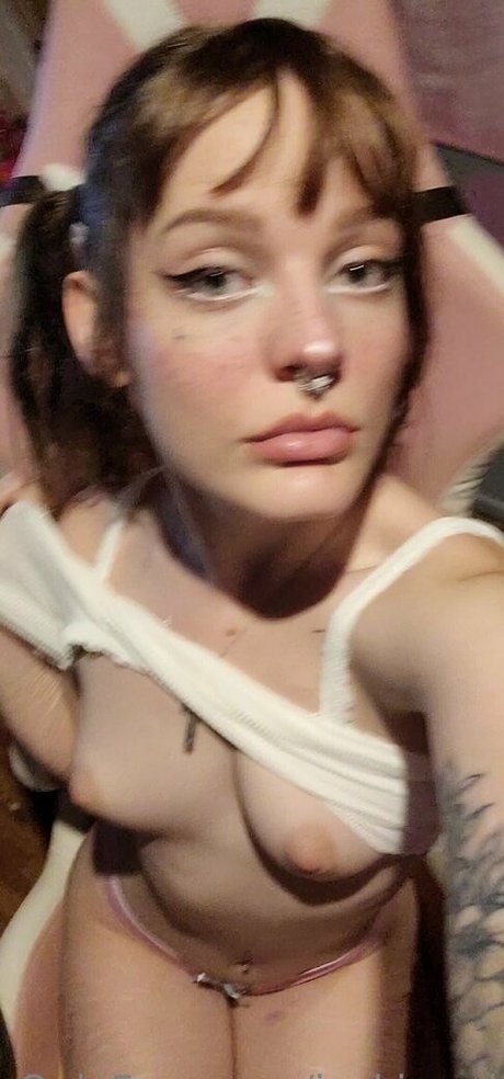 jackiered exklusive pornographische bild