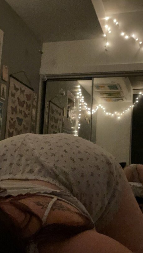 grungek1tten freie hübsche bilder