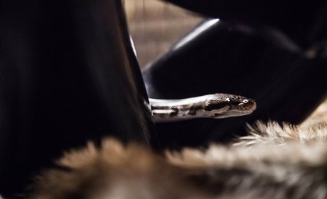 Rubberragdoll porno erotische foto