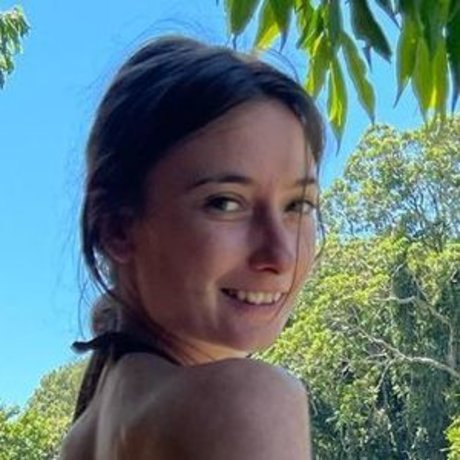 Seashark hübsche hd galerie