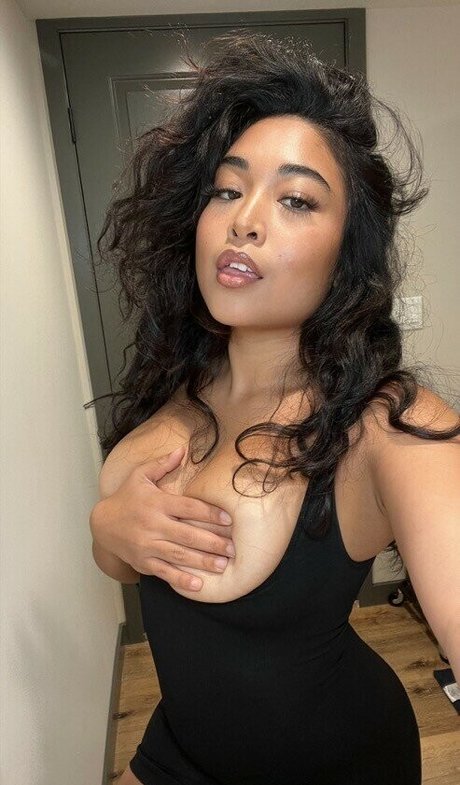 Dollycakes top hübsche archiv