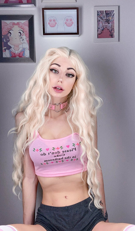 Fetching butterflies freie erwachsene archiv