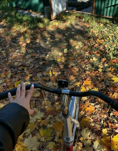 Jane Davis Profilbild