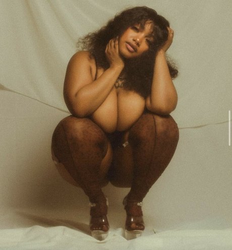 Oyastorms top bilder