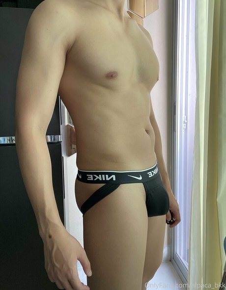 alpaca bkk erotische freie bilder