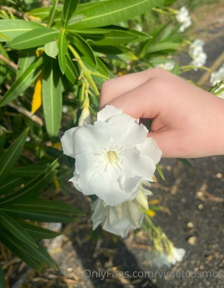 weihnachtsunterwäsche onlyfans beste schöne galerie